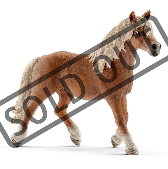 SCHLEICH Horse Club® 13813 Kůň Hafling - hřebec