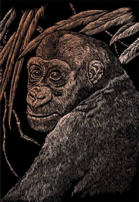 Mědený škrabací obrázek Opice