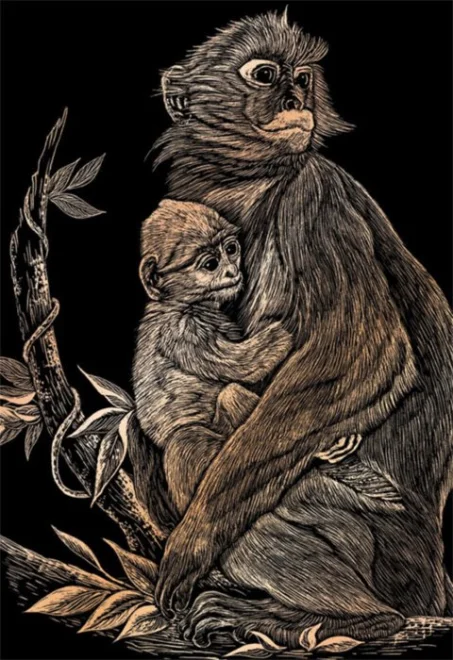 Mědený škrabací obrázek Opice s mládětem