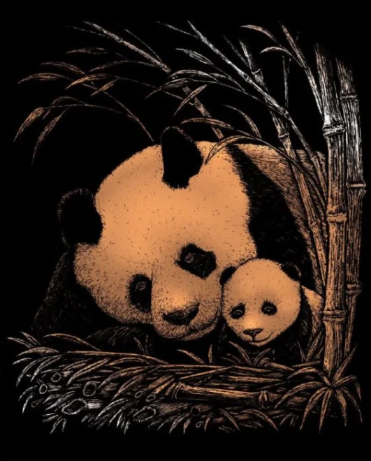 Mědený škrabací obrázek Panda s mládětem