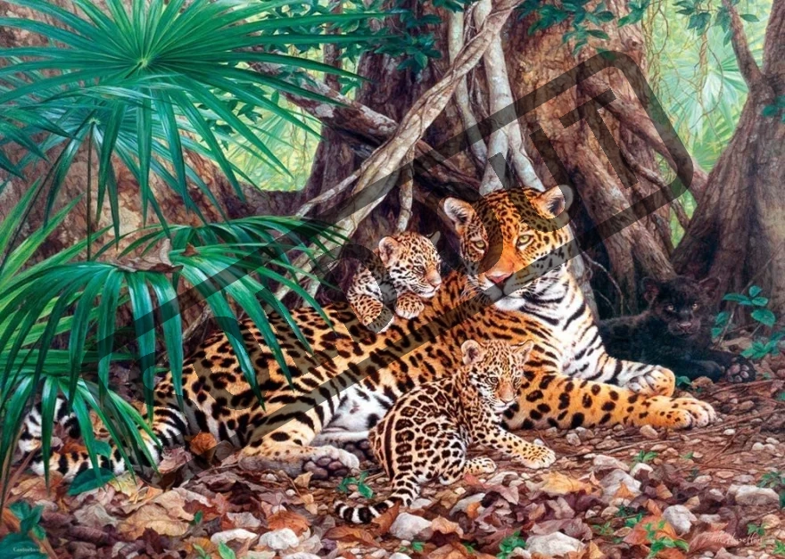 CASTORLAND Puzzle Jaguáři v džungli 3000 dílků