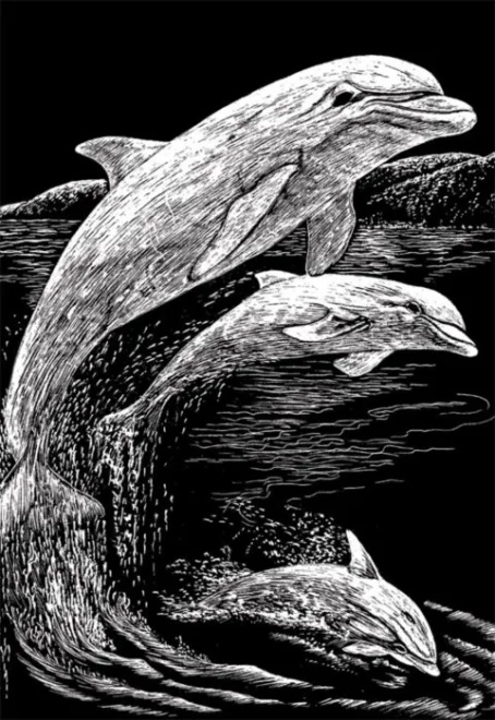 Škrabací obrázek - Skákající delfíni (stříbrní)