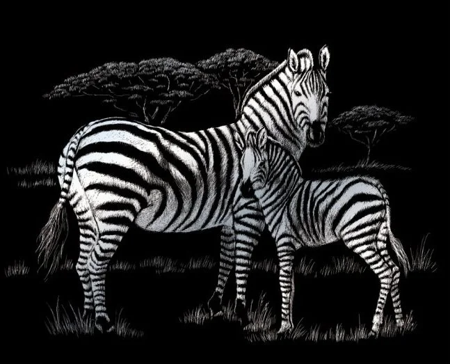 Škrabací obrázek - Zebra s mládětem (stříbrná)