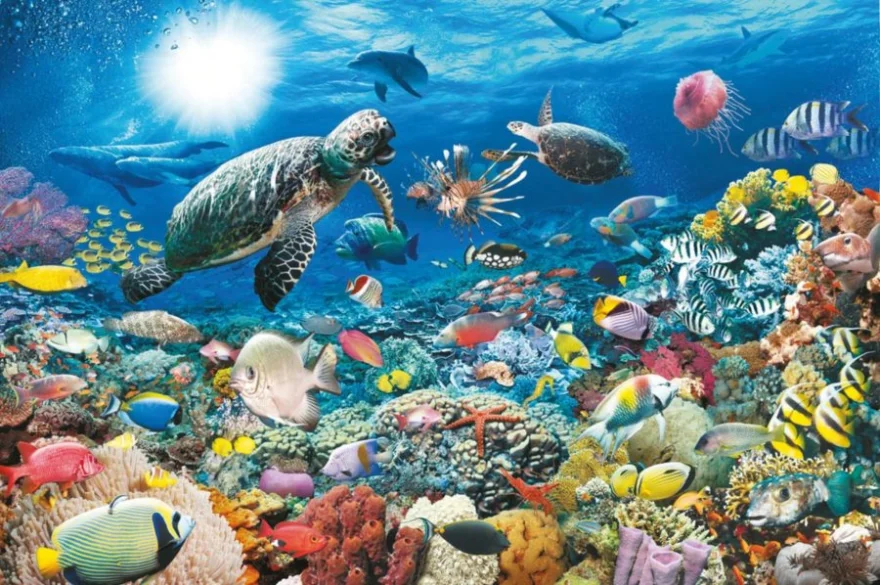 RAVENSBURGER Puzzle Život na korálovém útesu 5000 dílků