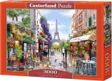 puzzle-rozkvetla-pariz-3000-dilku-167718.jpg