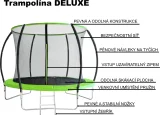 trampolina-deluxe-244-cm-s-ochrannou-siti-a-zebrikem-167493.jpg