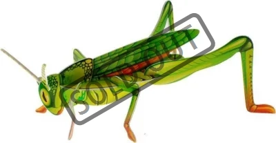 3D puzzle Hmyz: Kobylka 9 dílků