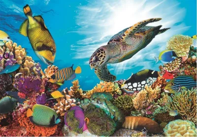 Puzzle Podmořský svět 3D 48 dílků