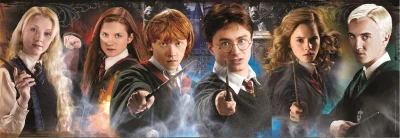 Panoramatické puzzle Harry Potter: Studenti 1000 dílků