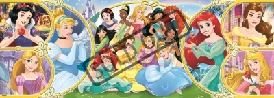 Panoramatické puzzle Zpět do světa princezen 500 dílků