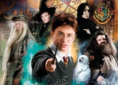 Puzzle Harry Potter 500 dílků