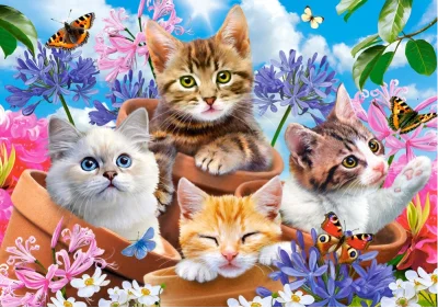 Puzzle Koťátka s květinami 500 dílků