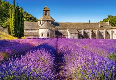 Puzzle Levandulové pole v Provence, Francie 1000 dílků
