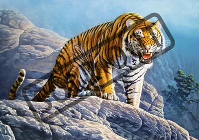 Puzzle Tygr na skále 500 dílků