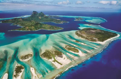 Puzzle Save Our Planet: Korálový útes 1000 dílků