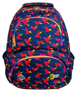 Školní batoh Rainbow Birds
