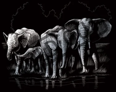 Stříbrný škrabací obrázek Stádo slonů