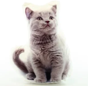Tvarovaný polštářek Britská kočka