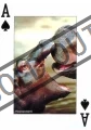 pokerbridz-divoka-zvirata-16121.jpg