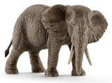 slon-africky-samice-91947.jpg