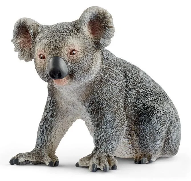 koala-91979.jpg