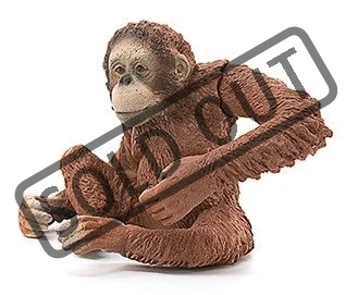 samice-orangutana-94561.jpg