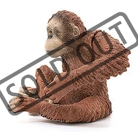 samice-orangutana-94562.jpg