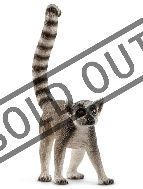 lemur-kata-102621.PNG