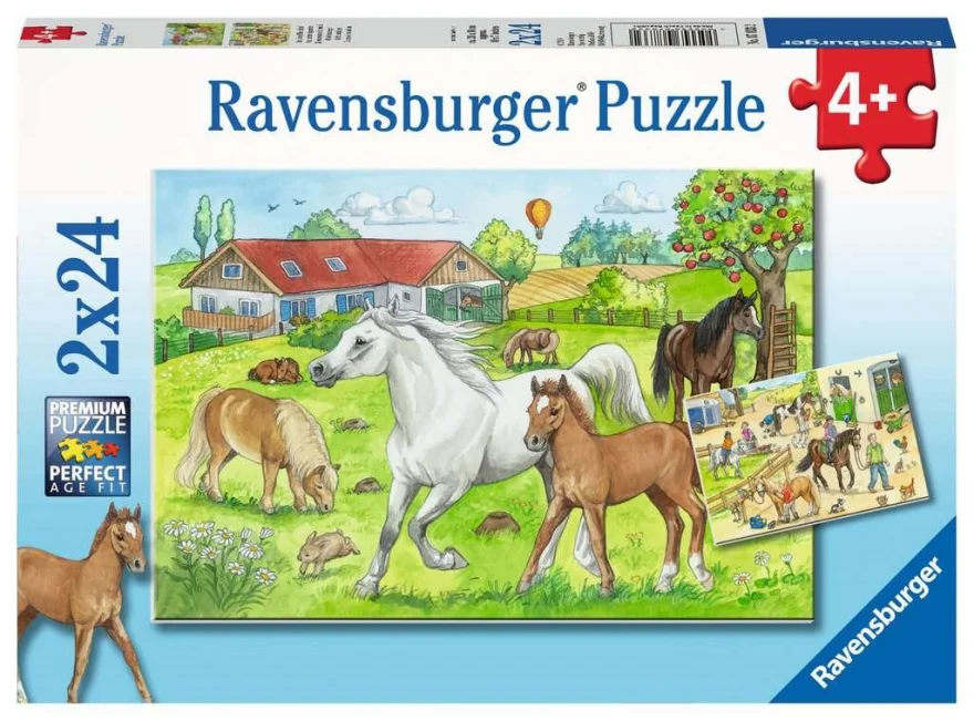 puzzle-ve-stajich-2x24-dilku-110811.jpg