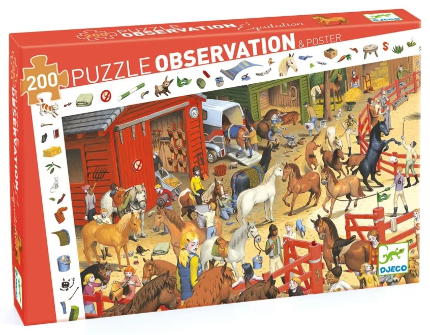 puzzle-observation-kone-200-dilku-143882.JPG