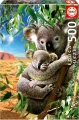 puzzle-koala-s-mladetem-500-dilku-132310.jpe