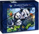 puzzle-pandi-rodinka-100-dilku-141801.PNG