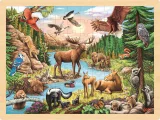 drevene-puzzle-divoka-priroda-severni-ameriky-96-dilku-183812.jpg