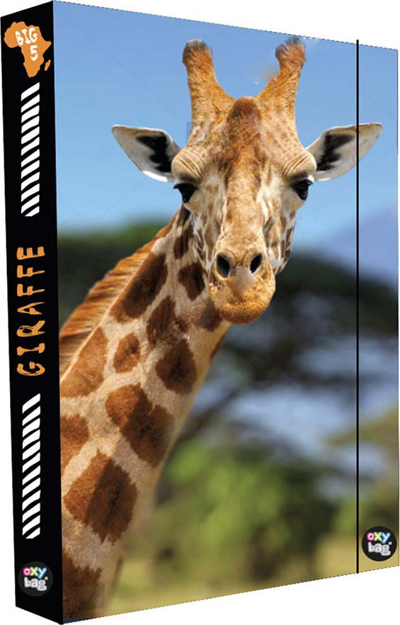 OXYBAG Box na sešity A4 Jumbo Žirafa