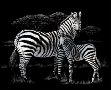 Stříbrný škrabací obrázek Zebra s mládětem