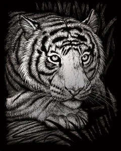 Stříbrný škrabací obrázek Číhající tygr