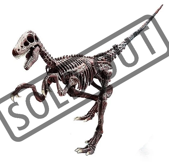 archeologicka-sada-velociraptor-46767.jpg