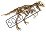 archeologicka-sada-t-rex-46772.jpg