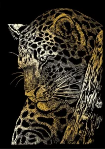 Zlatý škrabací obrázek Leopard