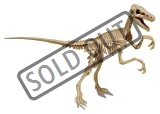 jursky-svet-velociraptor-59466.jpg